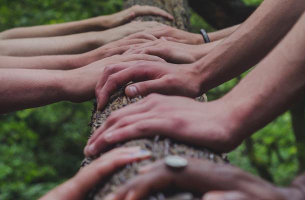 hands lined up on a tree